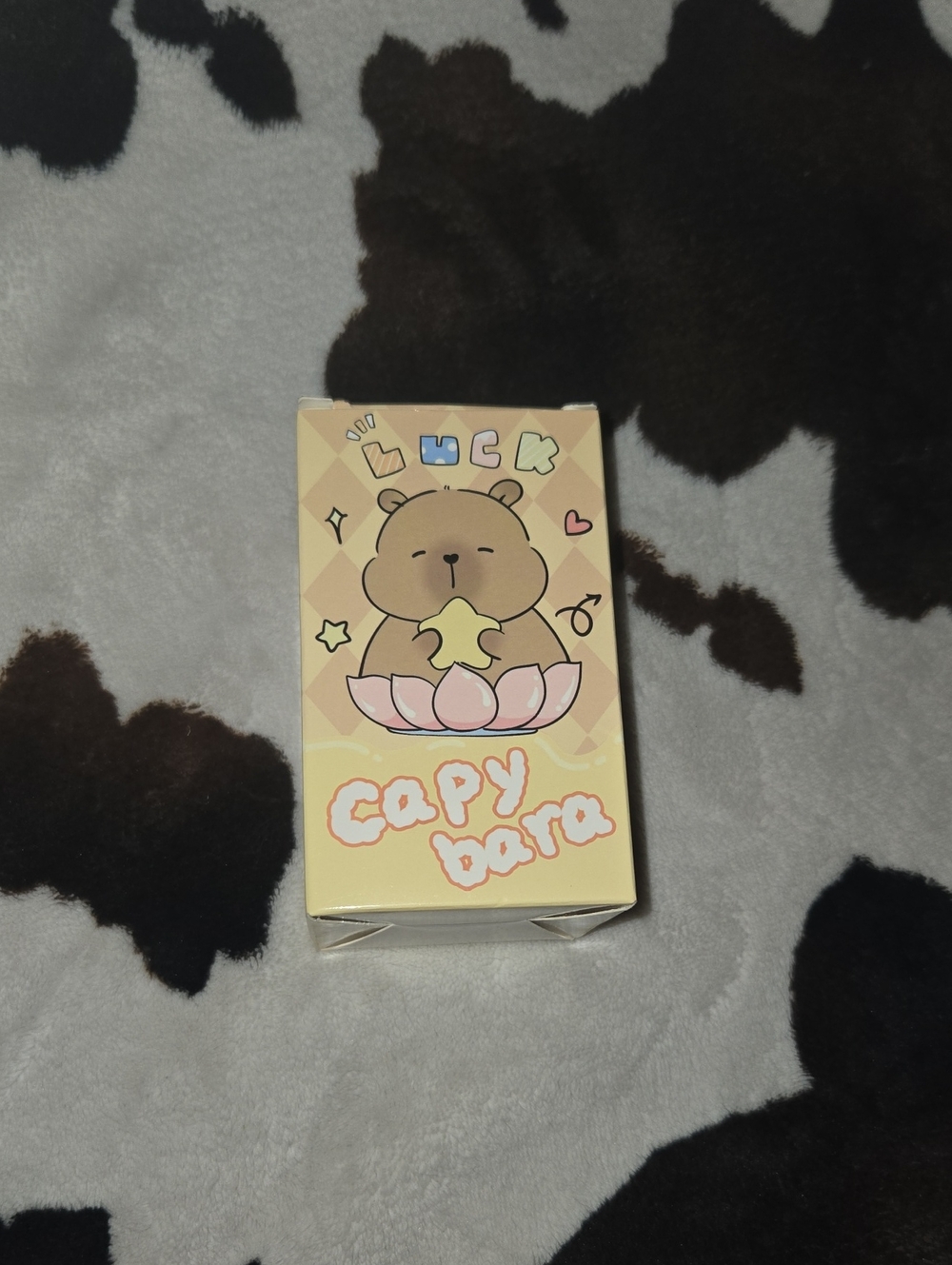Luck Capybara Blind Box